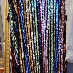 Plus Size sparkly dress. Lovely sequins. New with tags. Very comfortable fitting